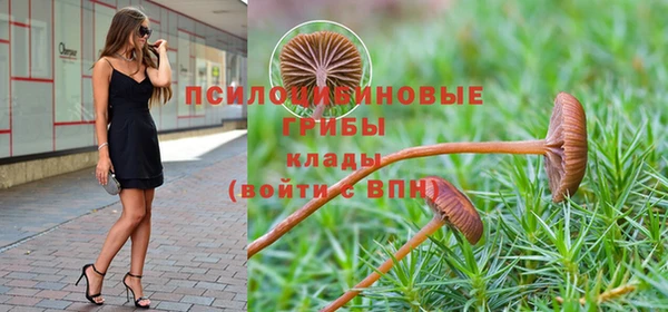 МДПВ Вязьма