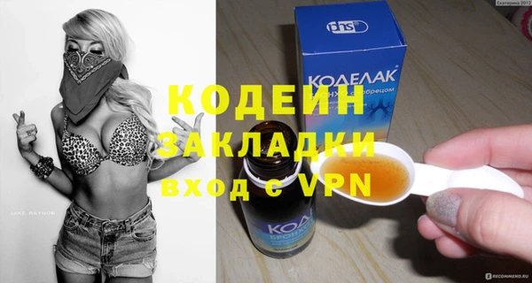 стаф Вяземский