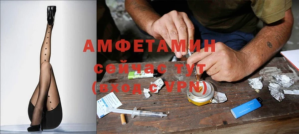 стаф Вяземский
